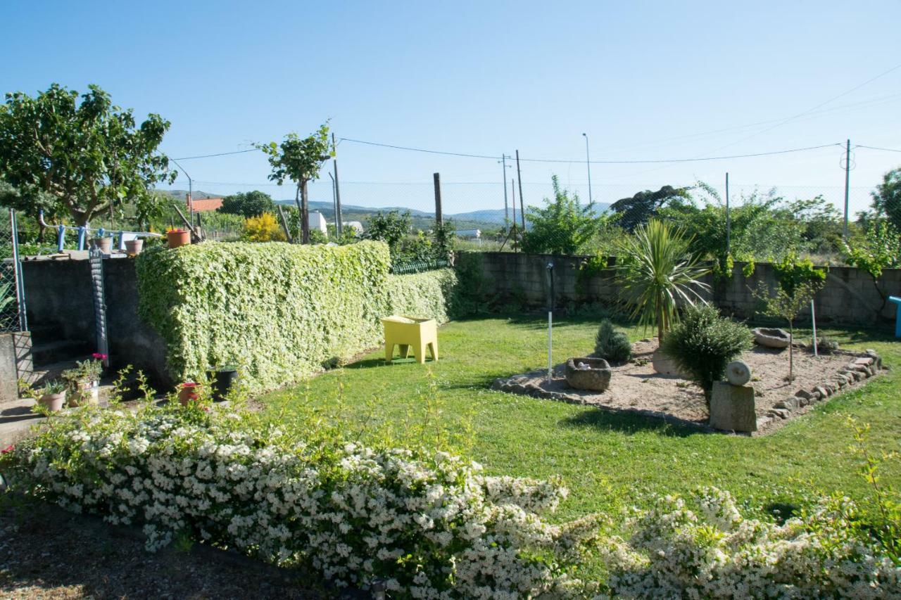 Quartos Em Vivenda Serra Da Estrela Celorico Da Beira Bagian luar foto